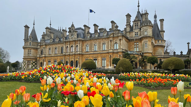 Waddesdon Manor Grounds Admission for Two with Souvenir Guidebook