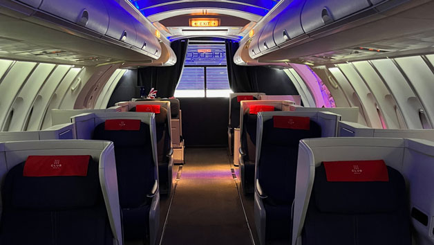 Child and Adult 45 Minute 747 Aircraft Simulator Experience picture