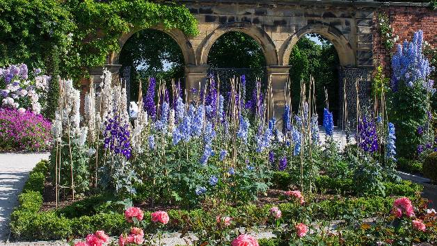 The Alnwick Garden and Afternoon Tea for Two picture
