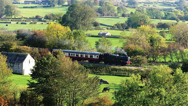 Family Heritage Train Ride with Wensleydale Railway Family Heritage Train Ride with Wensleydale Railway