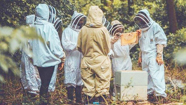 Three-Hour Beekeeping Experience for One at The London Bee Company