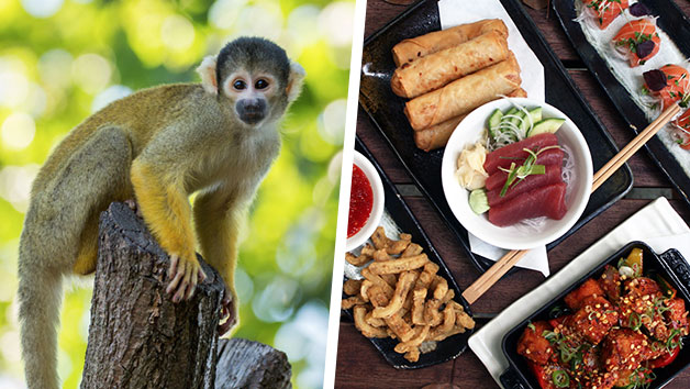 ZSL London Zoo Entry and Six Dish Sharing Menu with Dessert for Two at Inamo ZSL London Zoo Entry and Six Dish Sharing Menu with Dessert for Two at Inamo