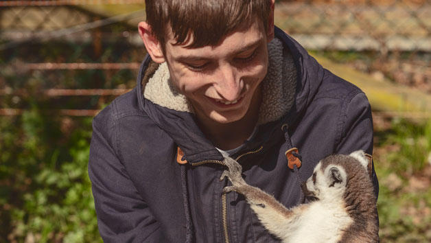 One Hour Meerkat and Lemur Experience at Hoo Zoo & Dinosaur World for Two picture