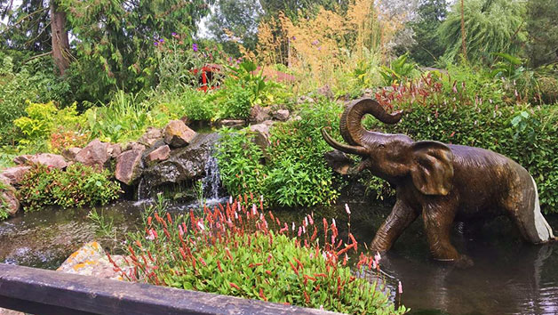 Beale Park Wildlife Park and Gardens Entry and a Cream Tea for Two Beale Park Wildlife Park and Gardens Entry and a Cream Tea for Two