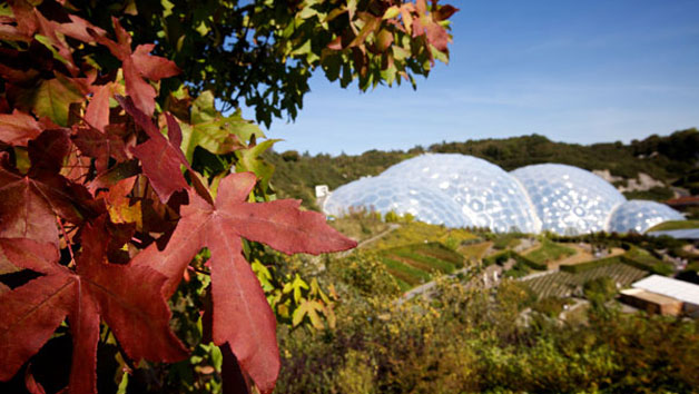 Entry to The Eden Project for two adults