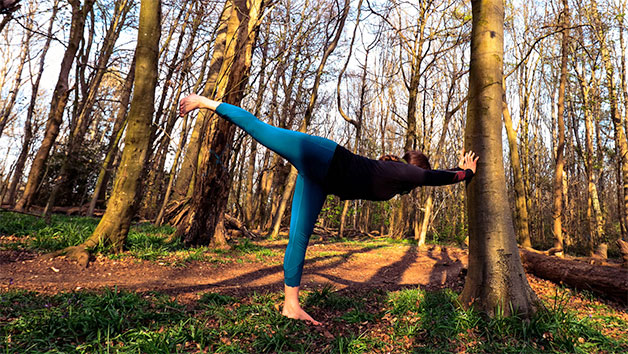 Yoga Day Retreat with BrightonYoga for One