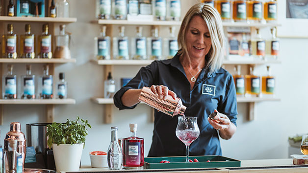 The Sky Wave Gin Distillery Experience for Two picture