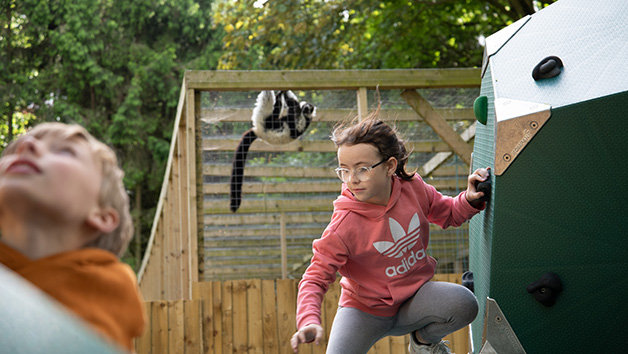 Hoo Zoo & Dinosaur World Family Entry for Two Adults and Two Children picture