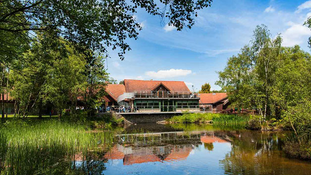 Chevin Tranquillity Spa Day with 100 Minutes of Treatment, Afternoon Tea and Fizz for Two picture