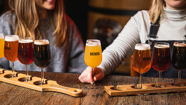 Beer School at BrewDog for Two