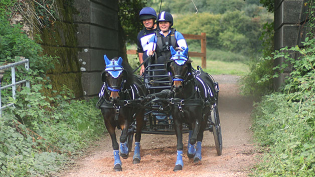 Carriage Driving