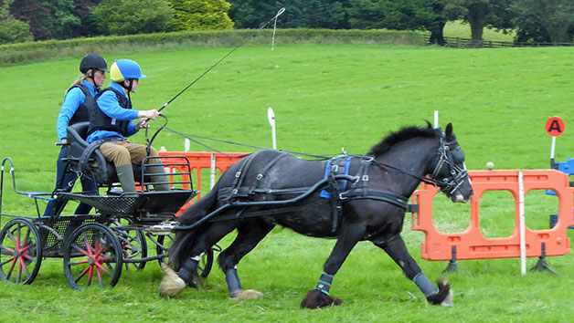 Carriage Driving for Two