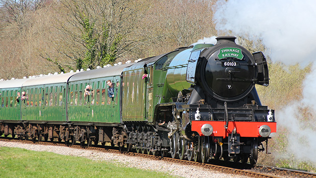 Seatrain Adventure with Return Cruise and Swanage Railway Trip for One Adult picture
