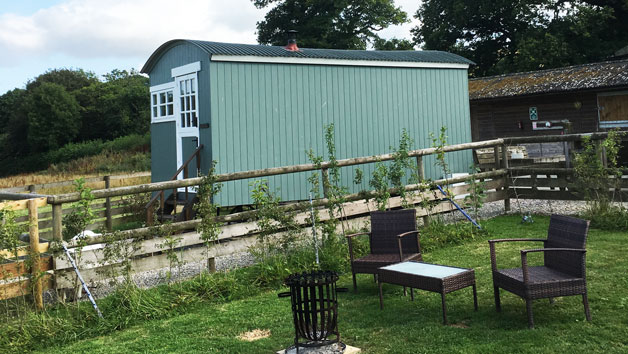 Two Night Shepherd's Hut Break for up to Four in Devon During High Season