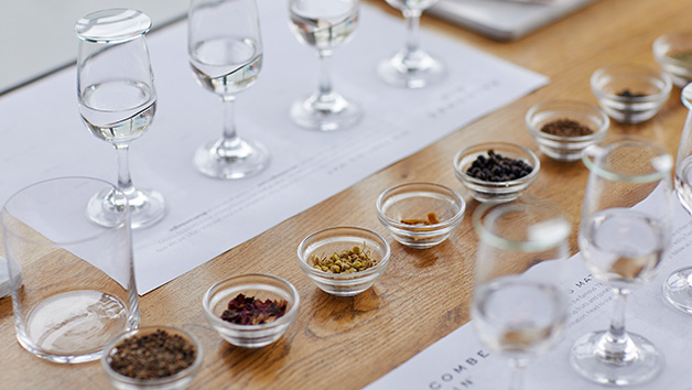Tasting Flights for Two at Salcombe Gin