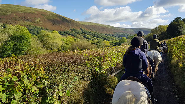 One Hour Horse Riding Experience at Grange Trekking for Two