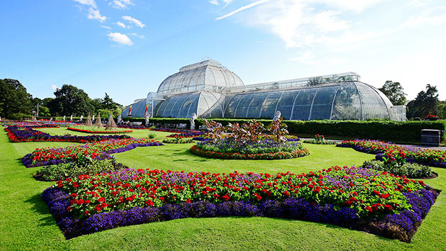 Entry to Kew Gardens and Palace for Two Adults