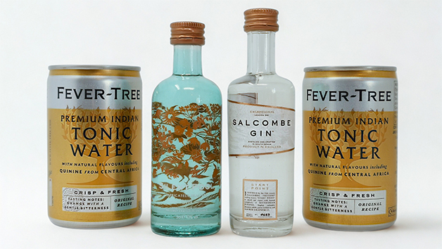 Little Gin Box 3 Month Premium Subscription picture