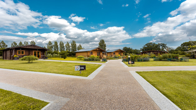 Luxury Lodge Overnight Stay at The Big Cat Sanctuary for Two – Weekends picture