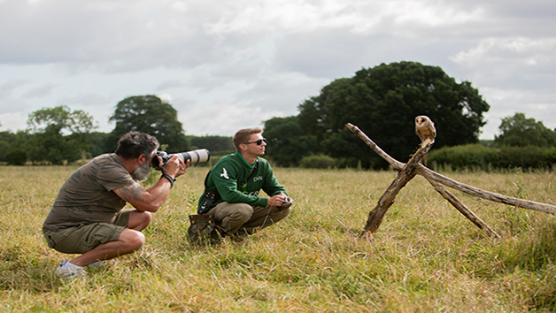Three Hours Birds of Prey Photography Experience for One with Mercer Falconry picture