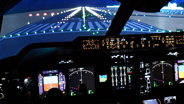 60 Minute Full-Motion Simulator Flight