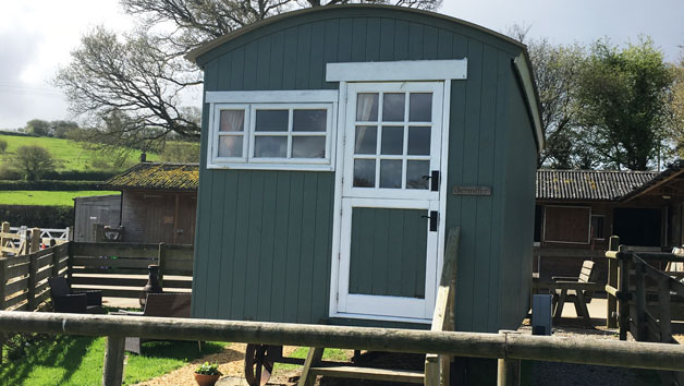 Two Night Shepherd's Hut Break in Devon During Low Season for up to Four People