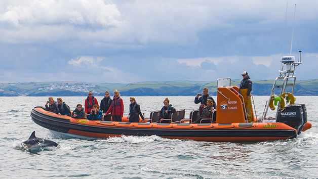 Two Hour Sealife Safari RIB Trip for Two in Padstow, Cornwall