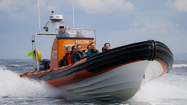 One Hour Seal Safari RIB Trip for Two in Padstow, Cornwall