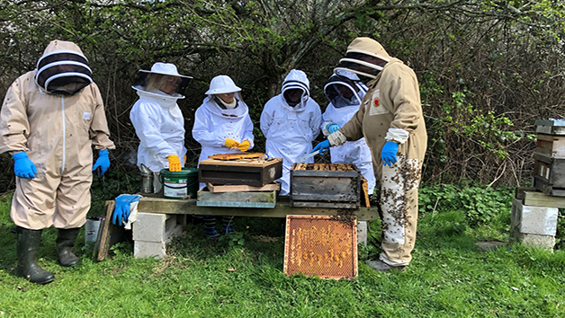 Inside the Hive Rural Beekeeping Experience for Two with Park Farm Cottage