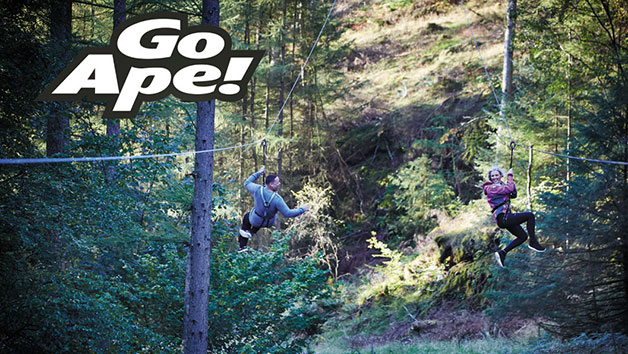 Tree Top Adventure at Go Ape for Two People Tree Top Adventure at Go Ape for Two People
