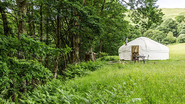 Two Night Family Meadow Yurt Retreat in Wales Two Night Family Meadow Yurt Retreat in Wales