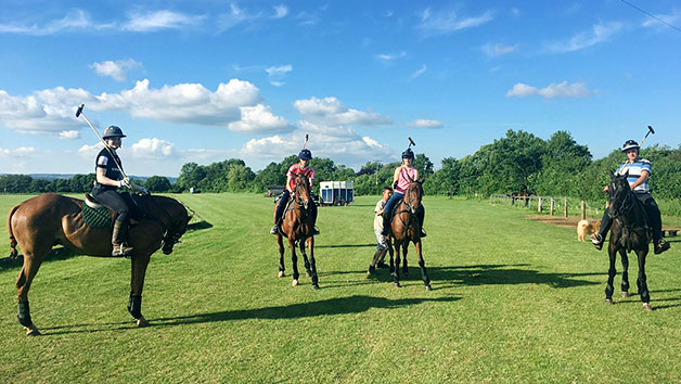 Introduction to Polo for One with Lunch at Taunton Vale Polo Club