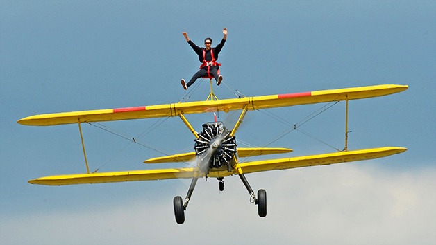 Wing Walking Experience for One