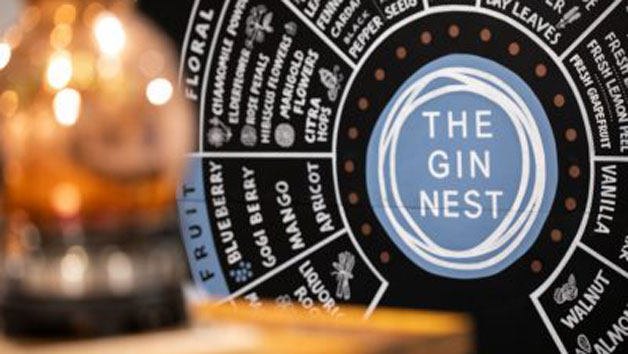 Gin Making Experience for One at The Gin Nest in Torquay