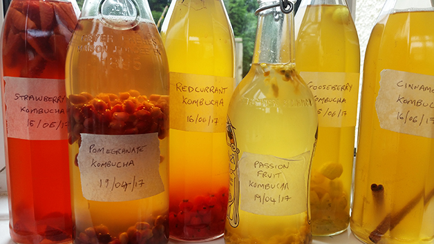 Online Food or Drink Fermentation Course with The Fermentarium