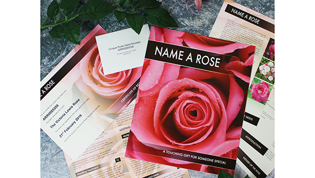 Name a Rose Personalised Gift Name a Rose Personalised Gift