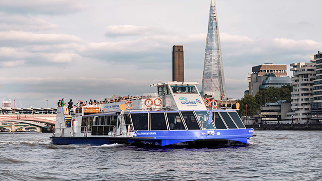 Two Course Thames Lunch Cruise for Two - Week Round picture
