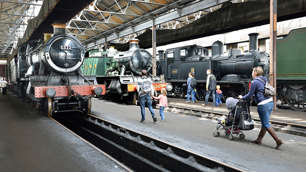 Steam and Diesel Train Day Out for Four at Didcot Railway Centre