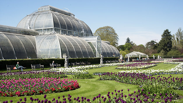 guided tours kew gardens