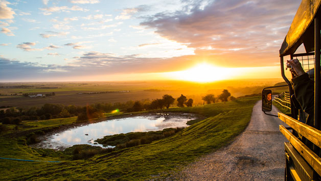 Entry to Port Lympne Reserve and Safari for Two Adults and Two Children with Animal Adoption