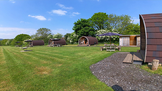 One Night Glamping Break at Rosebud Meadow picture