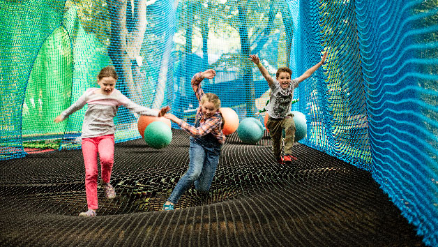 Treetop Nets at Treetop Trek for Two