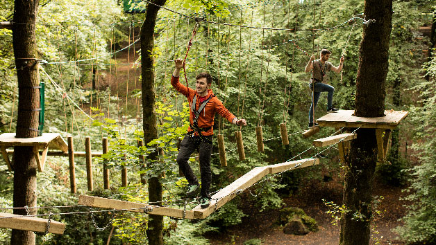 Zip Trek and Treetop Nets for One at Treetop Trek