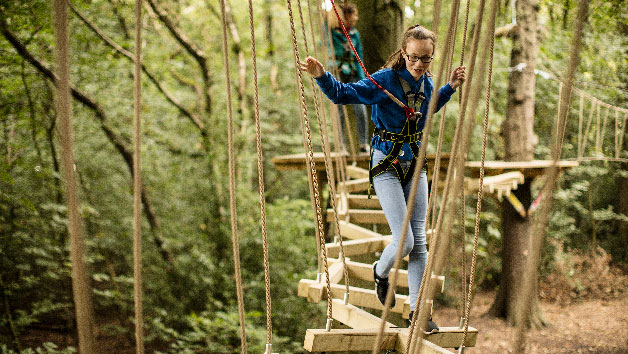 Zip Trek at Treetop Trek for One