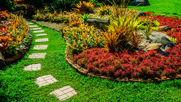 Garden Design and Maintenance Diploma Online Course for One Person