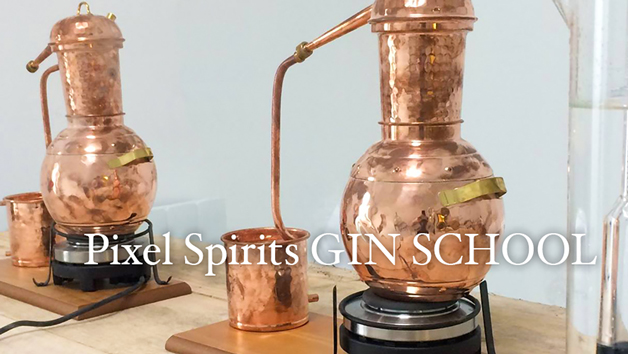 Online Gin Experience with Virtual Tour and Live Tasting from a Master Distiller at Pixel Spirits