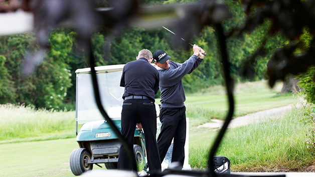 30 Minute Golf Lesson with a PGA Professional for One