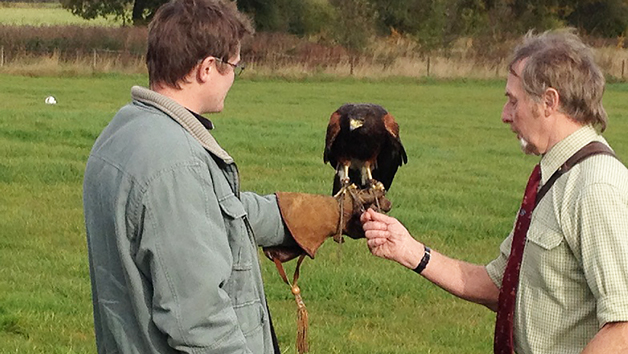 Birds of Prey Three Hour Experience for One – Special Offer