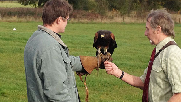 Three Hour Birds of Prey Experience for Two