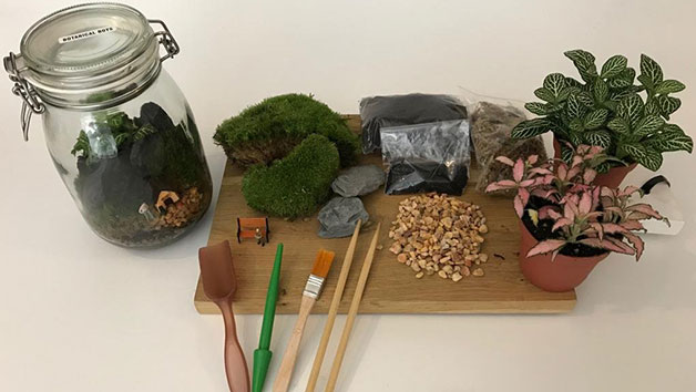 Terrarium Workshop - Slim Cork Jar at Botanical Boys